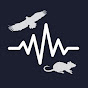 Sleep Sound Channel logo