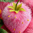 @ماهر-و6ي