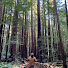 erKSfMaY_ak-channel-avatar-Allwonkyvids