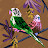 @SleepyParakeet-wl5wq