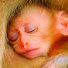 pUtI62PA3w8-channel-avatar-Cute Baby