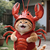 Im Fat Orange Cat