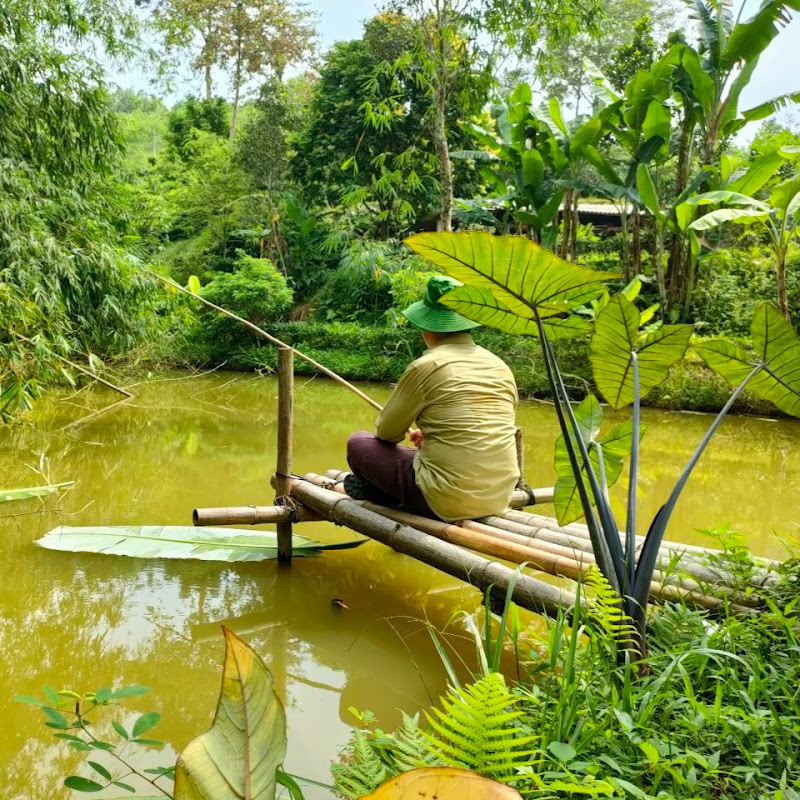 Câu Xong Thả Fishing profile avatar