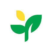 Finmentor Podcast