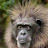 @EYETOLJAH4278 Avatar