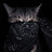 @nemby_wr Avatar