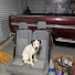 FKstlP7q9vQ-channel-avatar-Harvey's Garage 