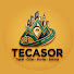 4qzLy3rwuKU-channel-avatar-TECASOR
