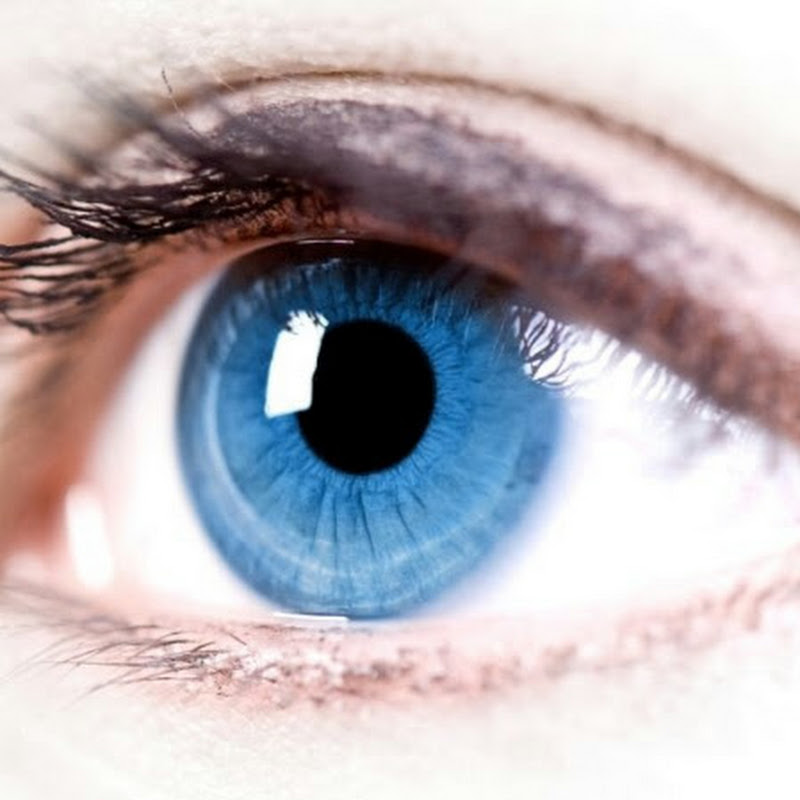 블루베리 레드향솔림 농원 Logo