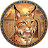 YqfGyQ-Rk2U-channel-avatar-Lynxoteric