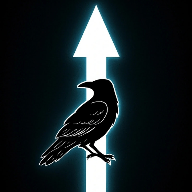 LevelUpRaven
