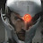 @germanhoyos4422 Avatar