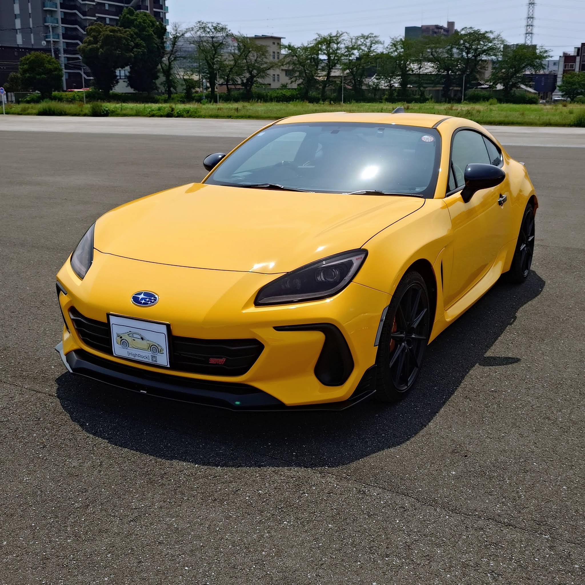 年末価格‼️スーパー美麗アキリデス雑交種 大型♀標 86mm雑交詳細画像確認 YouTube
