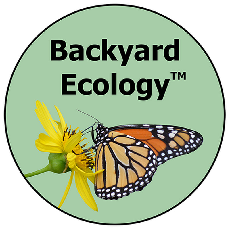 Backyard Ecology™