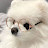 @jsj-e7o