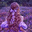 @mariam-k6l92