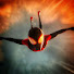 NeEjA6a9bDo-channel-avatar-JackByrnes