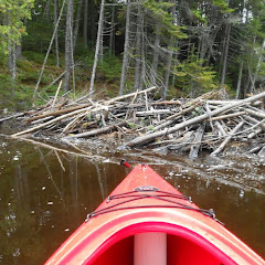 post 10 Vlogs And Extras net worth