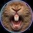 yh6DAQL2nBg-channel-avatar-    OneMorePlease Rabbits