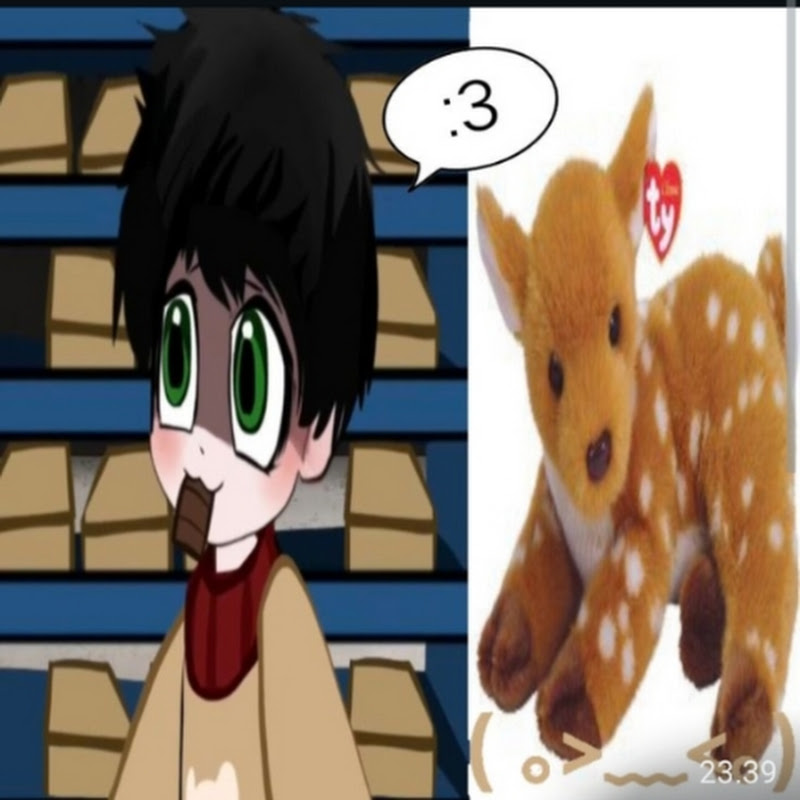 >ROBB1E<