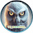 @TVSNOWOWL's avatar