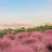 @独来独往-q6u