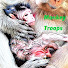 ZMRwEyXiNMU-channel-avatar-Monkey Troops