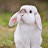 @pagiloy_kroll2445
