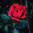 @sanish1991