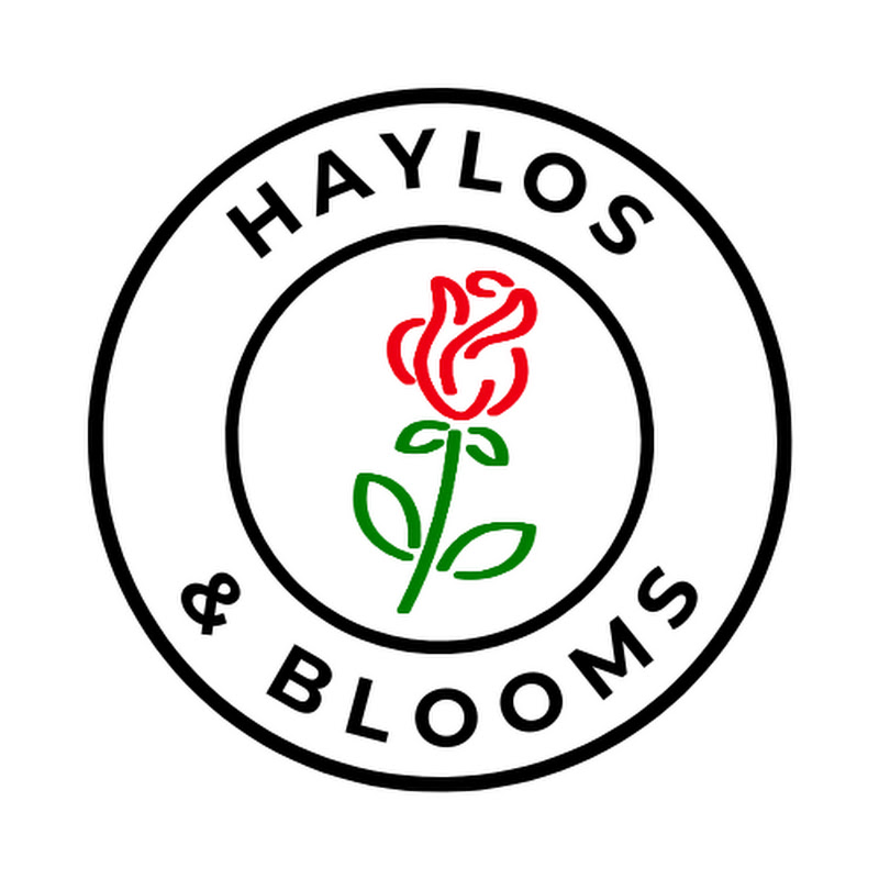 Wreaths and Bows by Haylos & Blooms