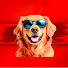 kaMplVGyL44-channel-avatar-chucklepawstv