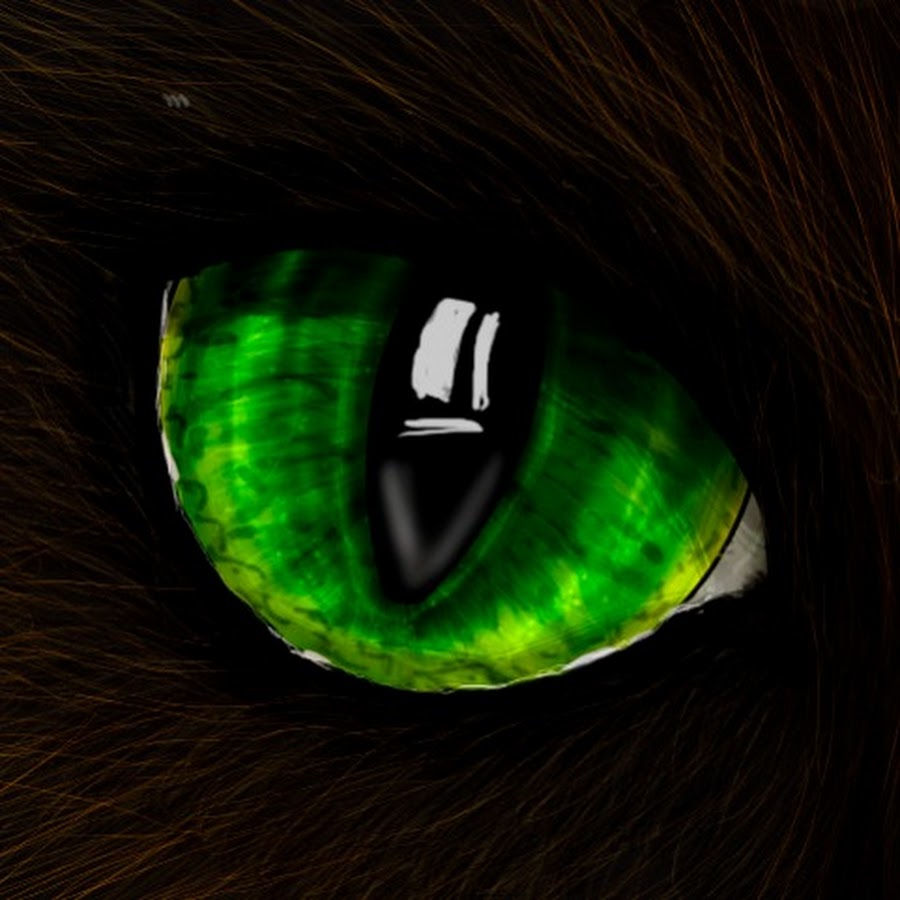 Черный зеленый глазками. Кошачий глаз зеленый. Кошка с зелеными глазами. Глаза кошки. Черная кошка с зелеными глазами.