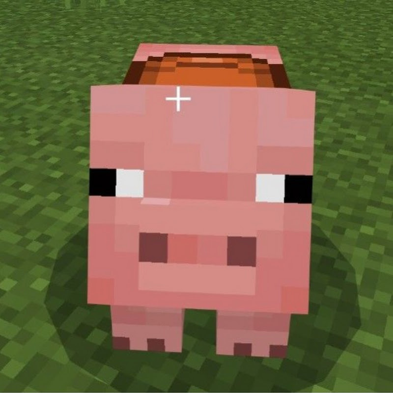 Minecraft SMP SERVER