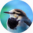 3VpLbzBKNHc-channel-avatar-Sekisuke Channel