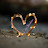 @ibrahimlara196