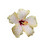 @NooranKhaled