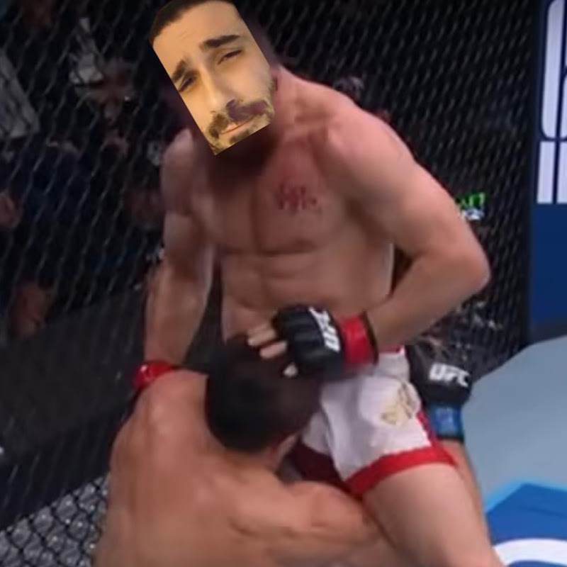 HorseBeef MMA