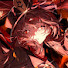 C0I4uehWCu0-channel-avatar-𐔌 . ⋮ SASHYX .ᐟ ֹ 