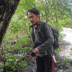 Akang kelana