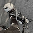MvRET70QW3U-channel-avatar-Cece_Studios