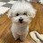 @Songsong-y7e