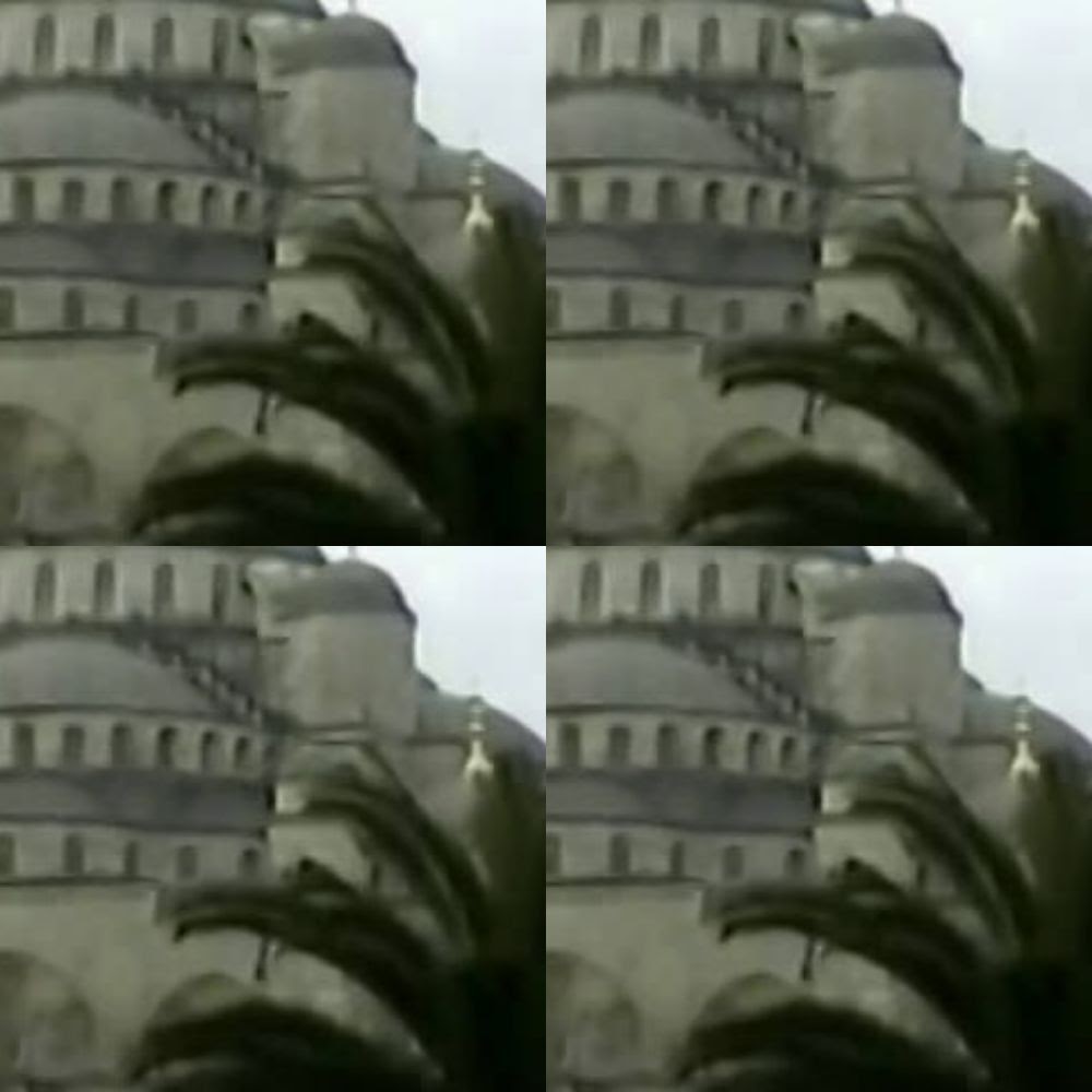 THE CHEHADE BROTHERS