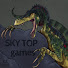 qFKspZrh-Pg-channel-avatar-SkyTop GAMES