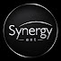FksxIXAPfMM-channel-avatar-Synergy Ent