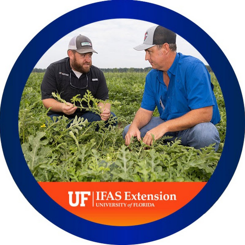UF IFAS Extension