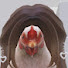 LRtc-EfNMl0-channel-avatar-That iPad kid