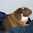 @Hammy-wq2qk