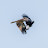 @patrickmeyer2802's avatar
