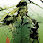 @johnellison3173's avatar
