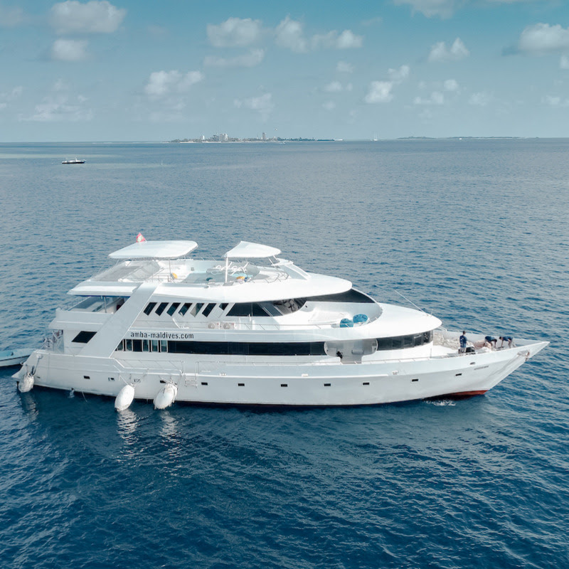 amba.liveaboard